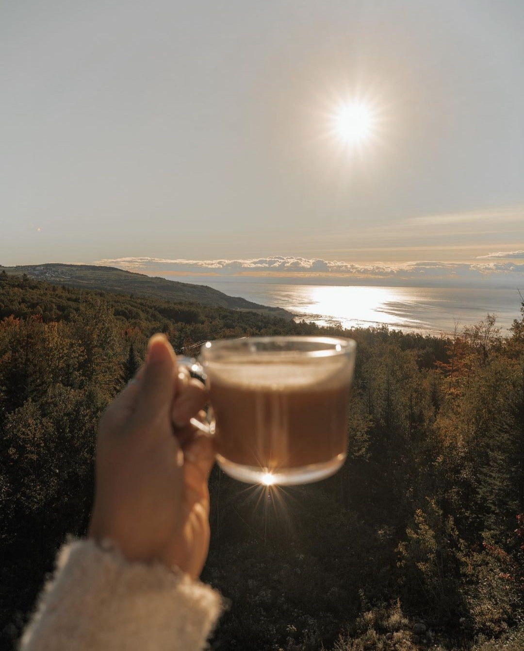 Coffee for sleep?